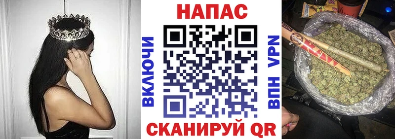 Альфа ПВП Олонец