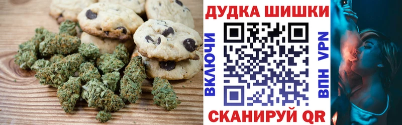 Купить закладки  Олонец  Cannafood марихуана 