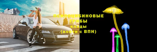 ПСИЛОЦИБИНОВЫЕ ГРИБЫ Арсеньев