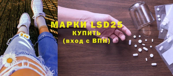 ПСИЛОЦИБИНОВЫЕ ГРИБЫ Арсеньев