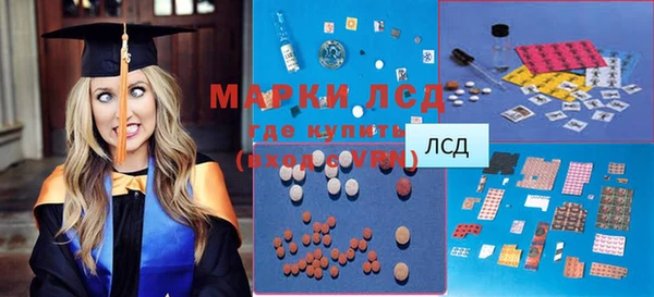 ПСИЛОЦИБИНОВЫЕ ГРИБЫ Арсеньев