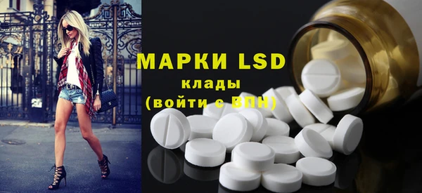 ПСИЛОЦИБИНОВЫЕ ГРИБЫ Арсеньев