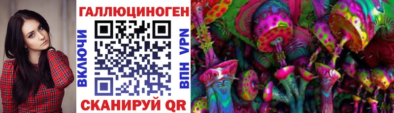 Галлюциногенные грибы Cubensis Олонец