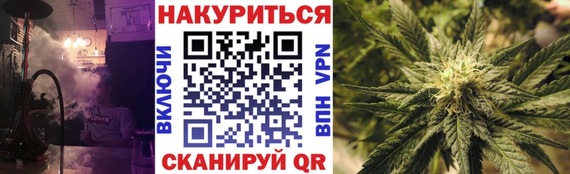 Купить где  Олонец  Бошки Шишки планчик 